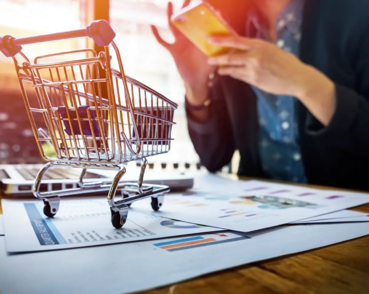 ecommerce-img